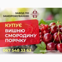 Купуємо ВИШНЮ, ПОРІЧКУ, СМОРОДИНУ по всій території України