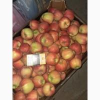 Продам яблоки разных сортов из собственного сада