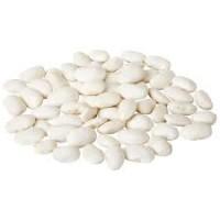 Купуємо квасолю на переробку. Приймаємо різні сорти