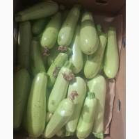Продам кабачок