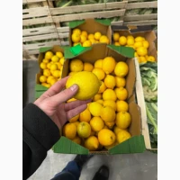 Лимони 2 класи