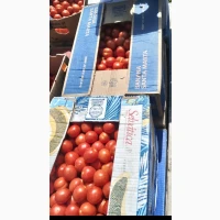 Продам товарну помідору
