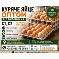 КУРЯЧЕ ЯЙЦЕ ОПТОМ ВІД ВИРОБНИКА С1, С2 | регулярні поставки Київська область