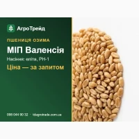 Сорт МІП Валенсія (озима пшениця) - насіння еліта, РН-1 з документами