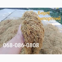 Вірджинія Голд, Берлі імпортний