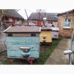 Продам вулик