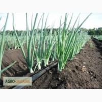 Капельная лента - Оптом и в розницу