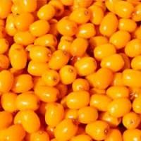 Закупаем замороженную Облепиху (вся Украина)