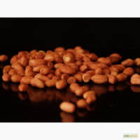 Арахис Болд полипропилен 60/70