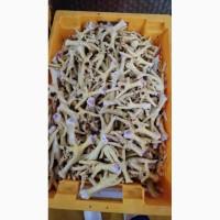 Продам лапки куринные от производителя с 5 тонн