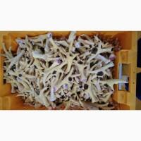 Продам лапки куринные от производителя с 5 тонн