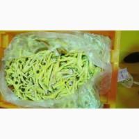 Продам лапки куринные от производителя с 5 тонн
