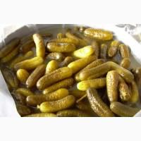 Продам квашені огірки
