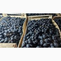 Продам виноград Молдова