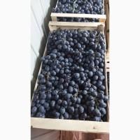 Продам виноград Молдова