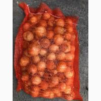 На продаж цибуля