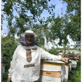 Продам бджолопакети карпатки, карніки