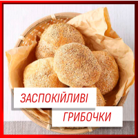 Микродозинг мухомора красного пантерного Ежовик Кордицепс Рейши
