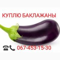 Куплю баклажан оптом