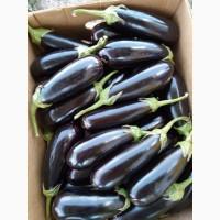 Продам баклажан.Дніпро.Гарна якість