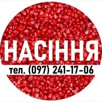 Гібрид кукурудзи ДН Страйд (ФАО 230). Насіння від виробника