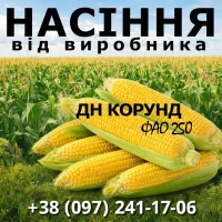 Насіння кукурудзи ДН Корунд / від виробника / ФАО 250