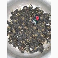 Продам насіння плюща