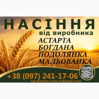 Насіння / озима пшениця / Астарта, Богдана, Подолянка, Мальованка (еліта)