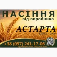 Насіння / озима пшениця / Астарта, Богдана, Подолянка, Мальованка (еліта)