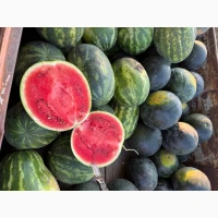 Продам свіжий не попечений, не перестиглий кавун