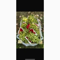 Продам елітні виноград білий пальчик