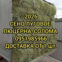 СЕНО различных видов. Доставка. Объёмы. Есть безналичный расчёт