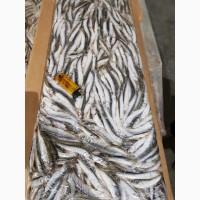 Азовский бычок, хамса, тюлька оптом