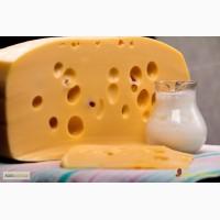 Купим сырный продукт