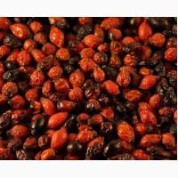 Продаємо шипшину високої якості