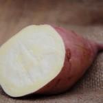 БАТАТ рассада органическая 7 сортов