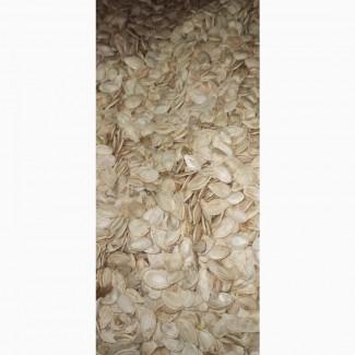 Купим семечку тыквы всех сортов