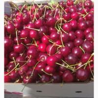 Продам черешню крупноплодную