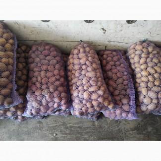 Продам якісну середню(калібр 4 ) картоплю