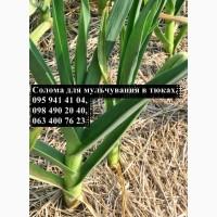Солома для мульчування