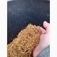 Продам качественный Болгарский табак Золотое руно