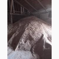 Отход кукурузы продам