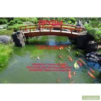 Пруды на участках- это модно