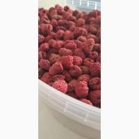 Продам малину сушену