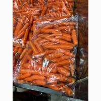 Морква молода Македонія