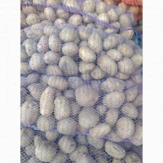 Продам картоплю