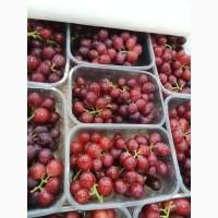 Продам виноград із Египту