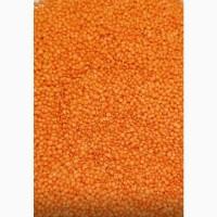 Продам сочевицю червону