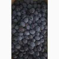 Продам чорнослив
