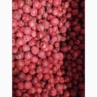 Вишня шокової заморозки